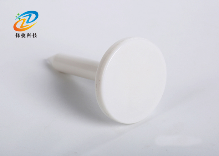 釘子電子標(biāo)簽ZJ-DZ012實拍展示圖二